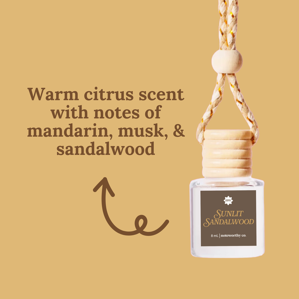 Car Diffusers |  Head In The Clouds