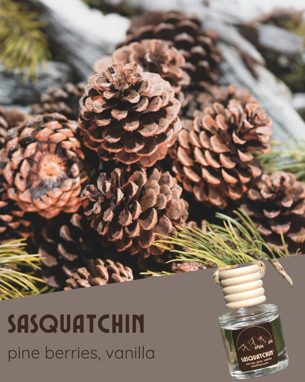 Car Freshener: Southern Drawl
