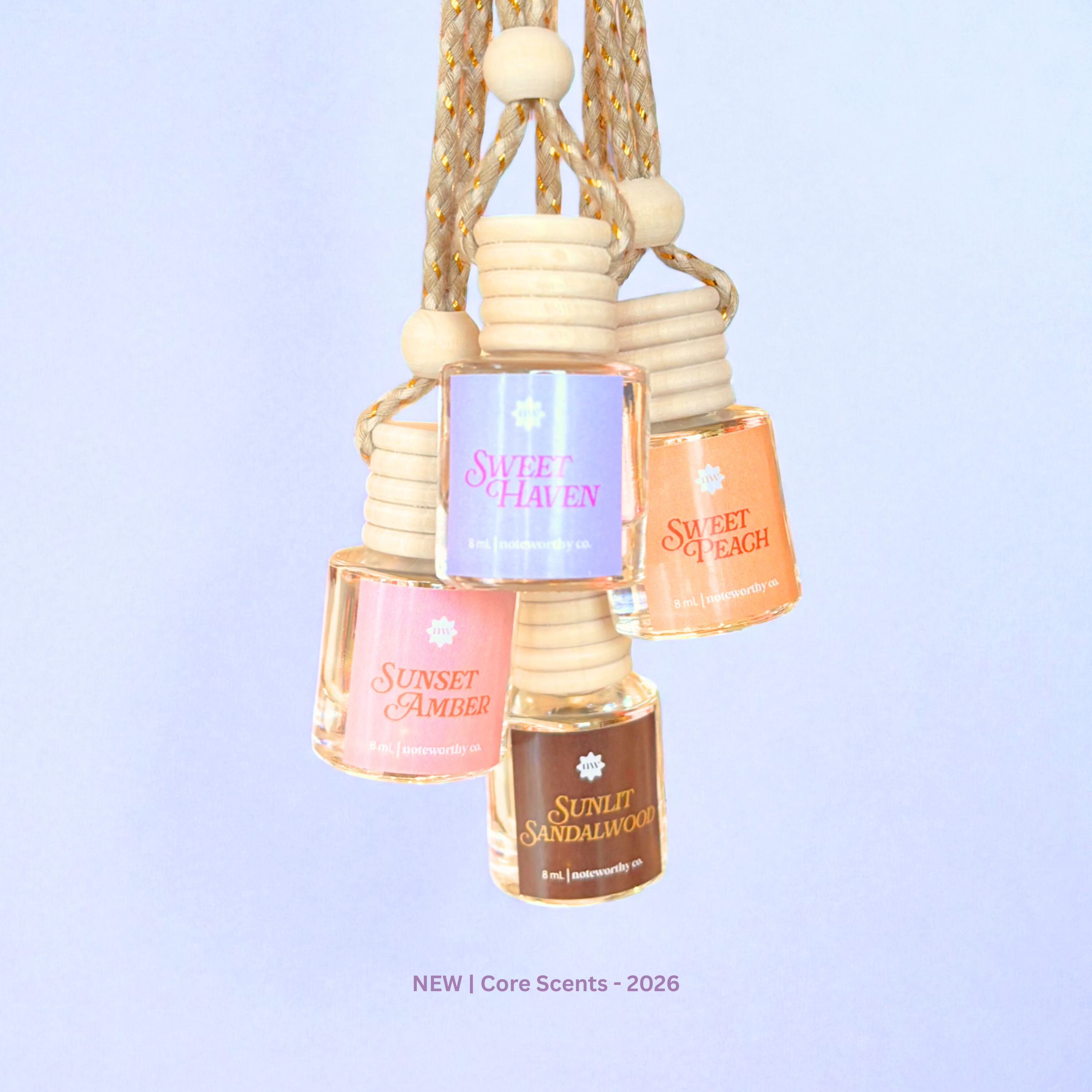 Car Diffusers |  Head In The Clouds