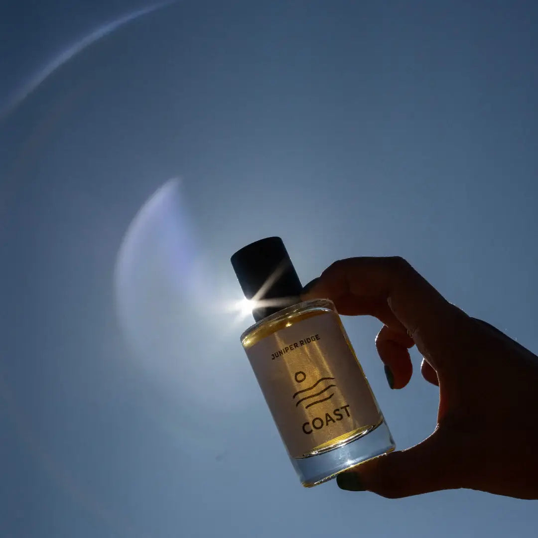 Wilderness Cologne - Coast