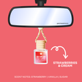 Car Diffusers | Valentine Collection