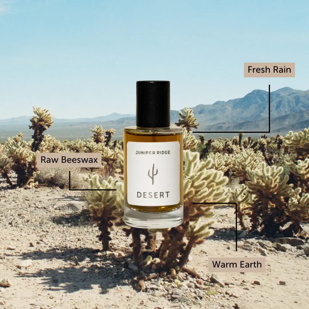 Wilderness Cologne - Desert