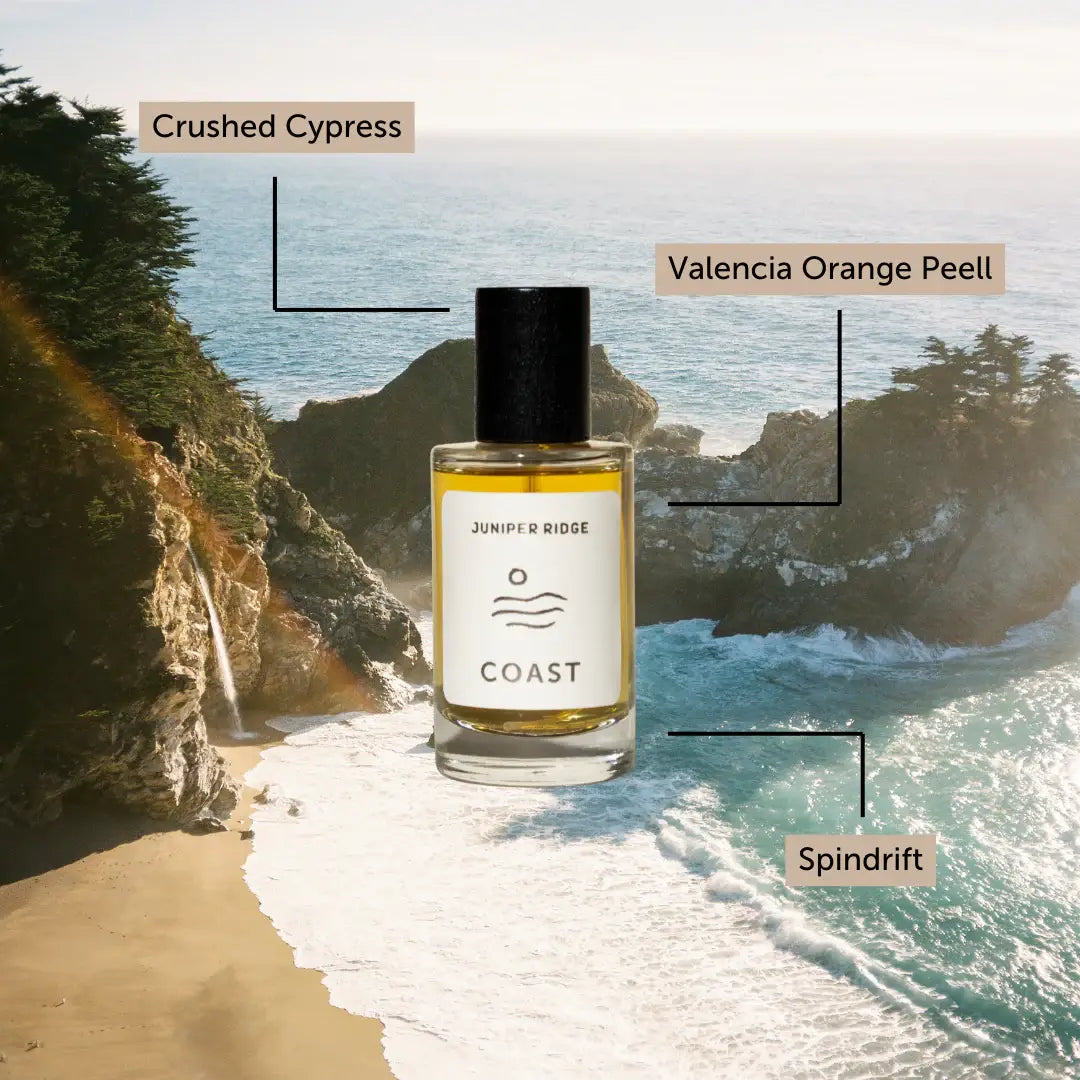 Wilderness Cologne - Coast